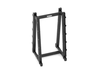 Technogym 10 Place Barbell Rack 3D model