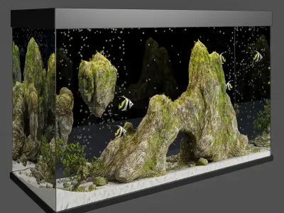 Aquarium with cliff and moss 3D model