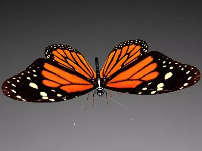 Butterfly model monarch - monarch Low-poly 3D model