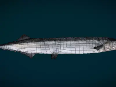 Pacific Saury Animated 3D model