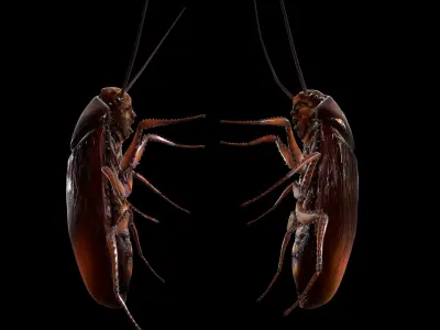 Recreation of Kafkas Metamorphosis Low-poly 3D model