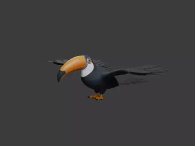 Toucan cartoon 3D model