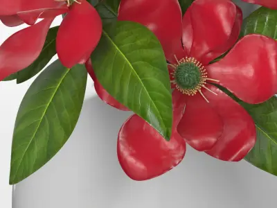 White Ceramic Vase with Red Magnolia Flowers 3D model