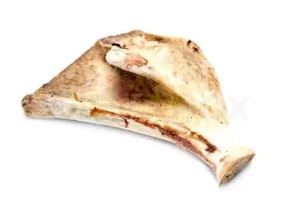 Pork Scapula 3D model