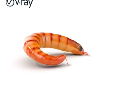 Realistic Mealworm Model Pack for Production and Game Environ... Low-poly 3D model
