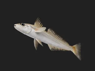 Silversillago Low-poly 3D model