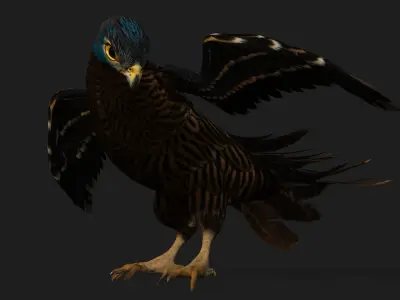 Kestrel B8 Low-poly 3D model