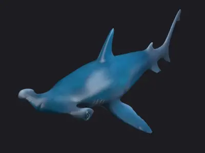 sea killers sea animals hammerhead hammer-head shark  3D model