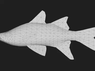 Snook Low-poly 3D model