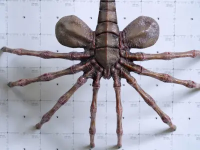 Alien Facehugger - 3D Asset Kit PBR Low-poly 3D model