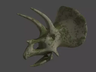 Low Poly mossy Triceratops Skull game ready Free low-poly 3D model