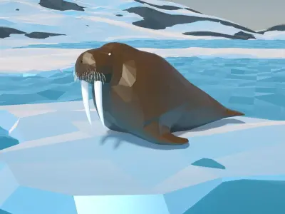 Walrus Low Polygon Animal Arctic sea ocean Low-poly Low-poly 3D model