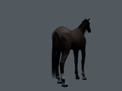 Thoroughbred Horse 3D model