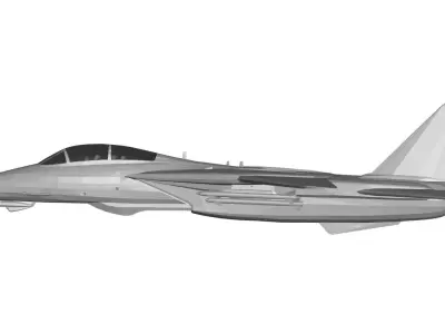 Grumman F-14 Tomcat 3D model