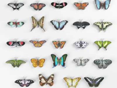Butterflies Collection - 24 Rigged Low-Poly Butterfly Models Low-poly 3D model