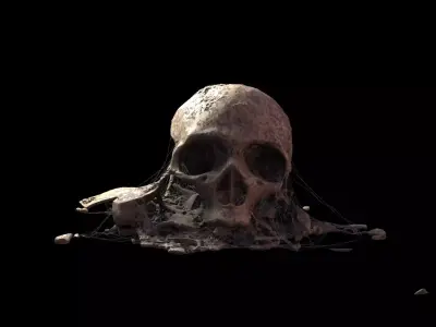 Broken Skull with Spider webs 8 3D model