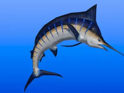 Blue Marlin Low-poly 3D model