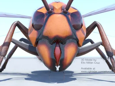 Murder Giant Asian Hornet  Low-poly 3D model
