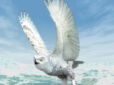 Snowy Owl - rigged - animated 3D model