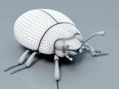 Ladybug stylized 3D model