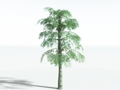 EVERYPlant Alethopteris Seed Fern 1 --12 Models-- 3D model