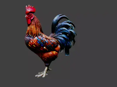 Rooster Animal Low-poly 3D model