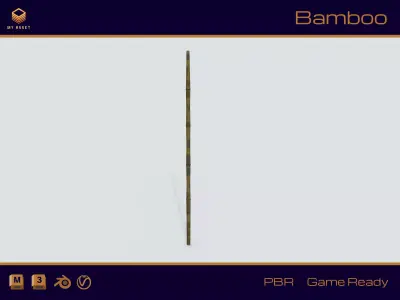 Bamboo Low-poly 3D model