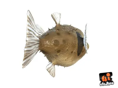 Toon Puffer Fish Low-poly 3D model