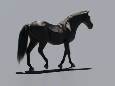 Horse animated 3D model get