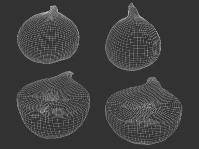  Fig Fruit Food Model 