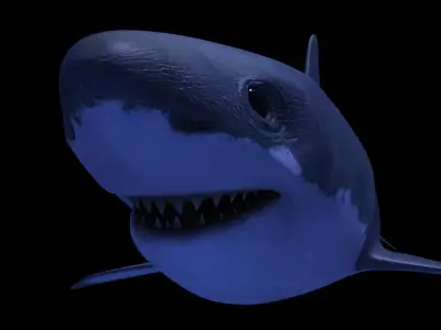 Shark AAA Low-poly 3D model