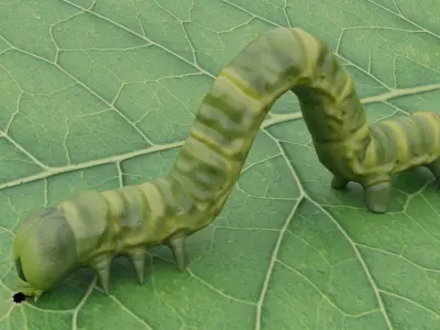 Caterpillar as low-poly model Low-poly 3D model