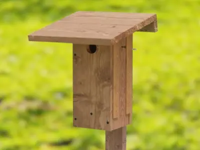 Birdhouse for Bluebirds 3D model
