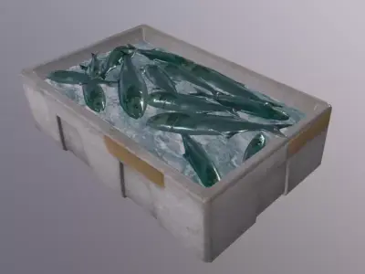 Polystyrene Box with fish Low-poly 3D model