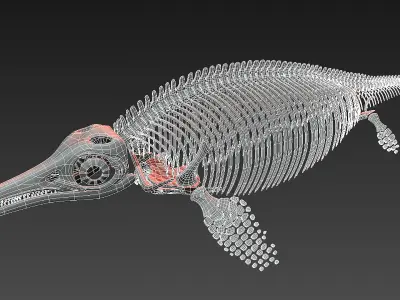 ichthyosaurus skeleton  3D model
