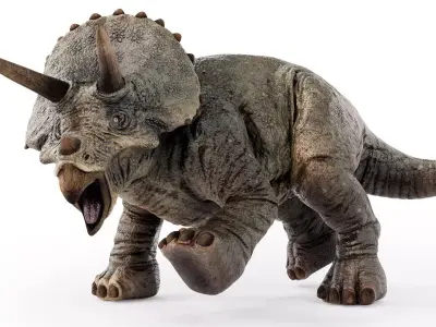 Triceratops Low-poly 3D model