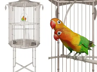 Cage with lovebirds 3D model