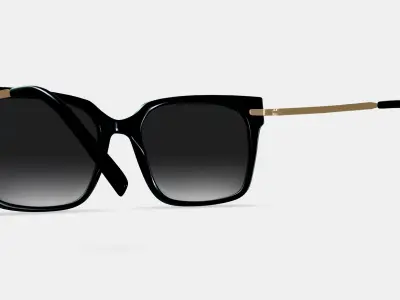 Vela Sunglasses in Jet Black with Polished Gold 3D model
