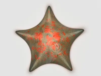 Petrel Sea star Low-poly 3D model