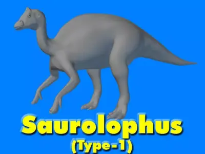 Saurolophus Type-1 Di 3D model