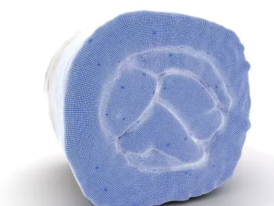 Realistic Sushi Roll Model Pack Low-poly 3D model