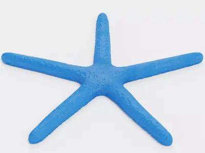 -Blue Stafish - Linckia Laevigata- 3D model
