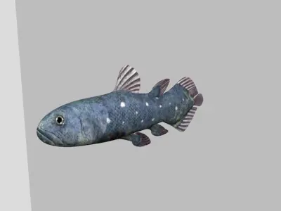 Coelacanth Fish Low-poly 3D model
