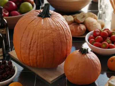  Large Pumpkin Models Collection 