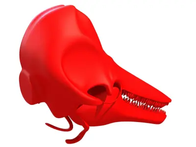 Printable Dolphin Skull 3D model