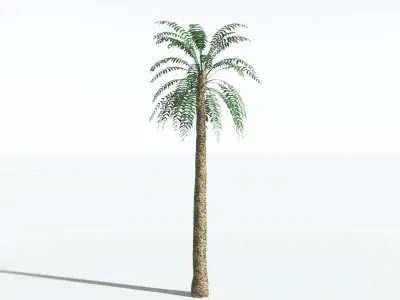 EVERYPlant Date Palm LowPoly 3 --16 Models-- Low-poly 3D model