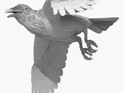 CROW - CORVUS - rigged - animated - Standard - PBR - VRAY  Low-poly 3D model