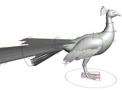 Peacock Rig Low-poly 3D model