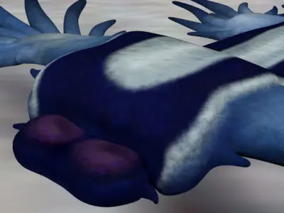 Glaucus atlanticus low poly Low-poly 3D model