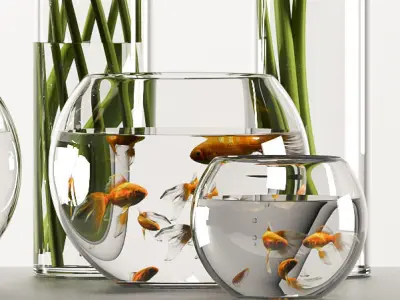 callalilly 3 calla lilies in glass vases 3D model